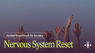 Nervous System Reset  Guided Breathwork 22 minutes [upl. by Merline138]