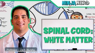 Neurology  Spinal Cord White Matter Structure amp Function [upl. by Packston257]