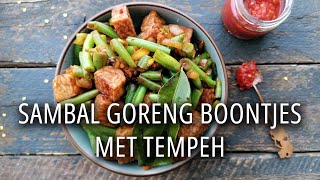 Eetspiratie  Sambal goreng boontjes met tempeh [upl. by Kire488]