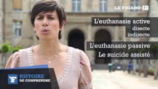 Histoire de comprendre  L’euthanasie [upl. by Auqinihs400]