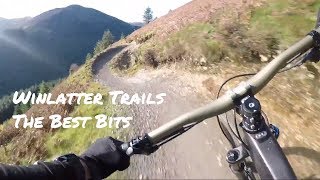 Whinlatter Trail Centre Mountain Biking Lake District  The Best Bits [upl. by Aeirdna]