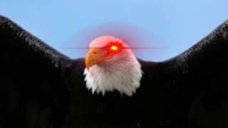 Eagle earrape [upl. by Matheny]