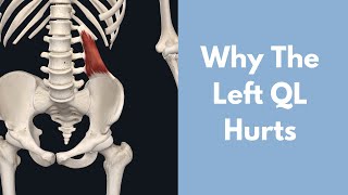 Why Does Your Left Quadratus Lumborum Hurt [upl. by Carver275]