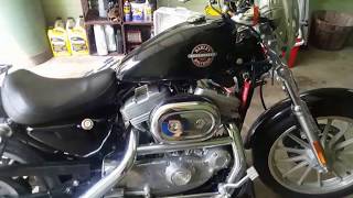 HD Sportster Oil and Primary Fluid Change HowTo [upl. by Asatan997]