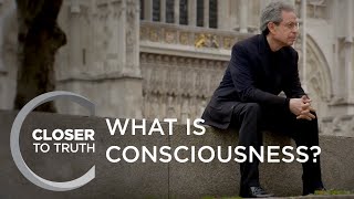 What is Consciousness  Episode 1302  Closer To Truth [upl. by Lichter]