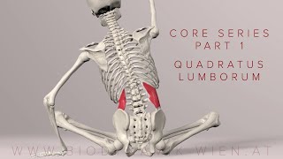 Core Series Part 1 Quadratus Lumborum 3D Animation [upl. by Ronalda]