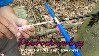 Dendrochronology How to use an increment borer [upl. by Doerrer]