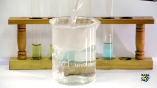 Food Tests  Iodine Biuret Benedicts Ethanol DCPIP [upl. by Maxantia]