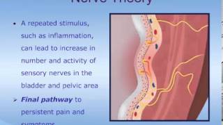 Renal or Kidney CystsSymptomsCauseTreatment [upl. by Michale]