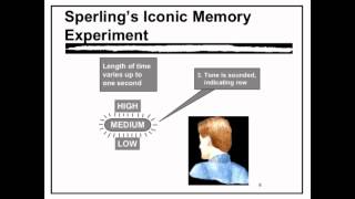 Sensory Memory  VCE Unit 3 Psychology [upl. by Yelknirb]