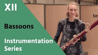 Bassoon and Contrabassoon  David Newman Instrumentation Series [upl. by Enileve]