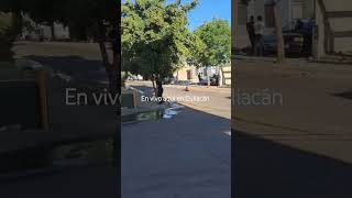 EN VIVO HOY Culiacán [upl. by Leirad352]