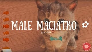 Malé Mačiatko Pre Deti – Mačička ✿ [upl. by Seema871]