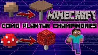 COMO PLANTAR CHAMPIÑONES EN MINECRAFT Tutorial Seta Roja o Marron GiganteEnorme [upl. by Ilellan]