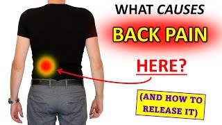 What Causes Lumbar Flank Pain And how to release it [upl. by Ycniuqed60]