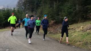 Whinlatter parkrun [upl. by Jacobson]