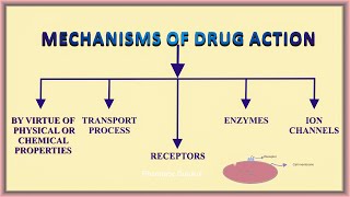 Mechanism of drug action  Pharmacodynamics [upl. by Eselrahc]