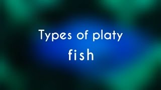 Types of Platy Fish [upl. by Maggee]