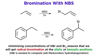 AllylicBenzylic Bromination With NBromo Succinimide NBS [upl. by Brandais]