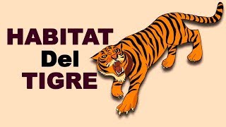 🐅 ¿Dónde VIVEN Los TIGRES y de Que se ALIMENTAN  Animales Salvajes [upl. by Kutzenco]