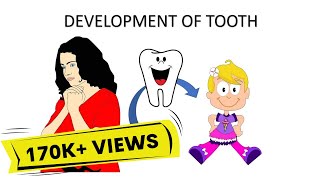 Development of teeth made easy [upl. by Brogle]