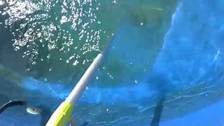 Cleaning Algae from a Fiberglass Pool [upl. by Giarg]