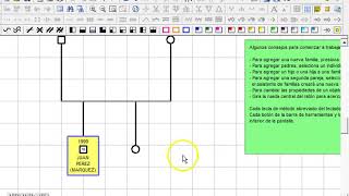 Cómo realizar un genograma [upl. by Ynattib]