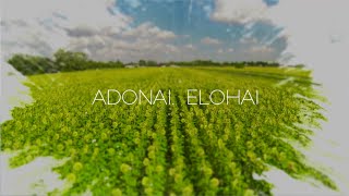 Paul Wilbur  Adonai Elohai Lyric Video [upl. by Chloras]