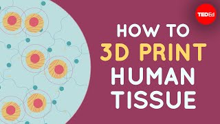 How to 3D print human tissue  Taneka Jones [upl. by Stultz]