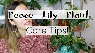 Peace Lily Plant Care Tips amp Tricks  Peace Lily Houseplant Care [upl. by Dnalyk875]