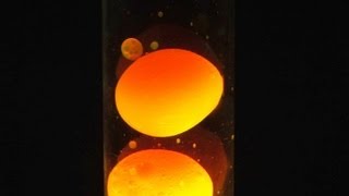 How To Make a Simple Lava Lamp At Home [upl. by Kilbride]