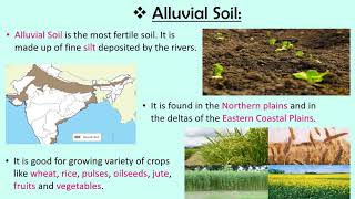 Soils of India CBSE SSTEVS Class 4 [upl. by Steffen]