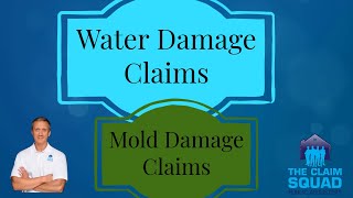 Water Damage Claims and Mold Damage Claims [upl. by Farika82]