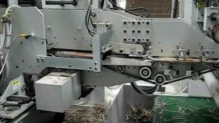 Flexo Folder Gluer MiniType Inline System [upl. by Esalb148]