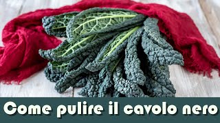 Come pulire il cavolo nero toscano [upl. by Eema]