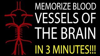 MNEMONIC Brains Blood Supply MEMORIZE in 3 Minutes [upl. by Eanrahc711]