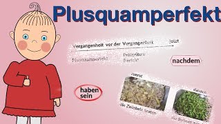 Plusquamperfekt  Deutsch lernen  Niveau B1B2  HD [upl. by Ralph]