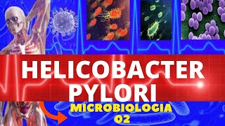 Helicobacter pylori  6 remèdes s naturels  Dr Berg sur les traitements HPylori [upl. by Kauslick]