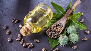 Homemade Castor Oil Made From Scratch [upl. by Arv]