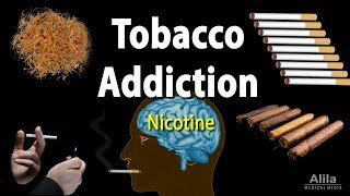 Tobacco Addiction Nicotine and Other Factors Animation [upl. by Arreit]