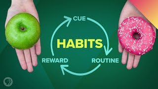 How Habits Can Change Your Life and Your Brain [upl. by Chev129]