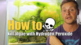 How to kill algae with Hydrogen Peroxide [upl. by Ruelle]