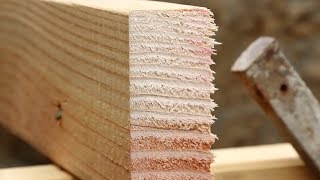 Things To Know About Lumber [upl. by Mellen]