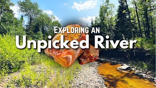 Unpicked River full of Treasure  Finding Lake Superior Agates Amethyst Jasper amp Other Minerals [upl. by Narik785]