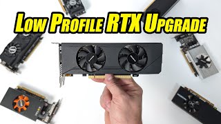 This New Low Profile GPU Might Just Be What Your SFF PC Needed [upl. by Sankey]