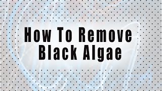 How To Get Rid Of Black Algae [upl. by Iek]