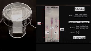 Separation amp Identification of Amino Acids by Paper Chromatography Rf Value Calculation  HINDI [upl. by Alic]