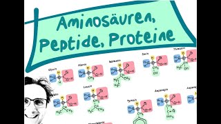 AminosäurenPeptideProteine [upl. by Eilzel]