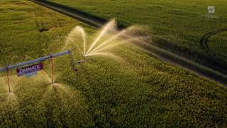 The Nelson R55 End of Pivot Sprinkler [upl. by Caitrin181]