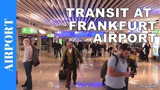 TRANSIT WALK AT FRANKFURT Airport FRA Terminal 1  Connection Flight Transfer Arriving amp Departing [upl. by Vinson]